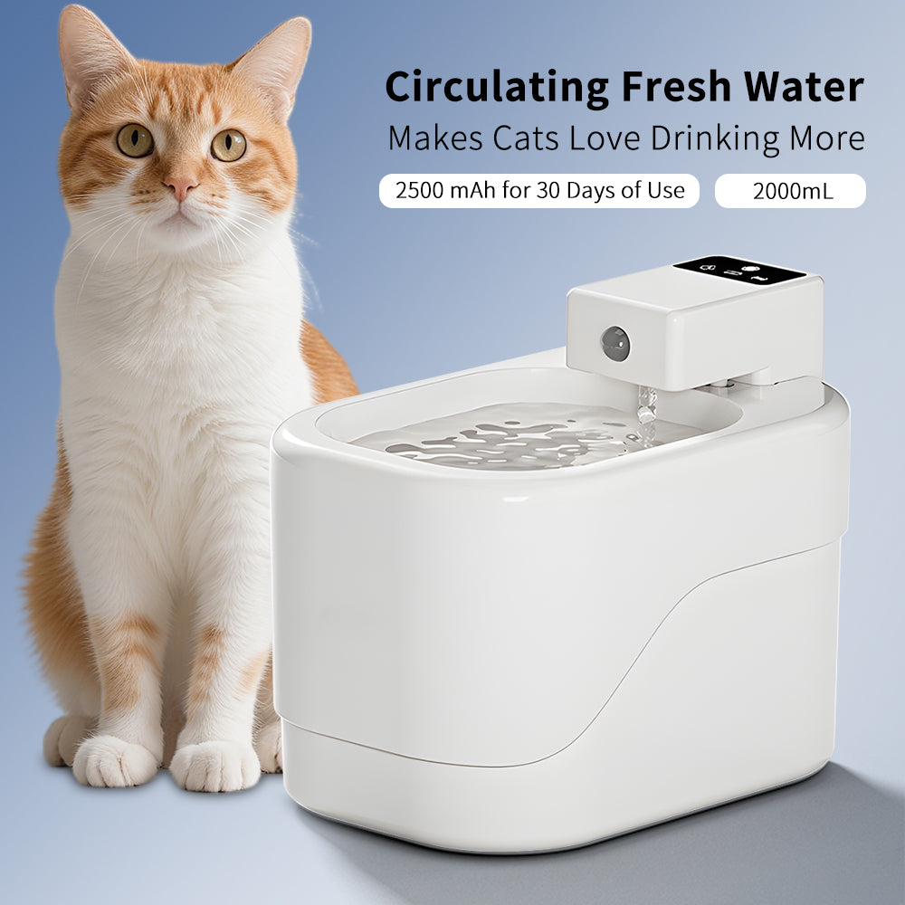 Intelligent Sensor Pet Drinking Fountain 2000ML Large Capacity, USB Charging Wireless Water Feeder, Ultra Quiet Anti-Dry Burn Water Dispenser With Filter For Pets