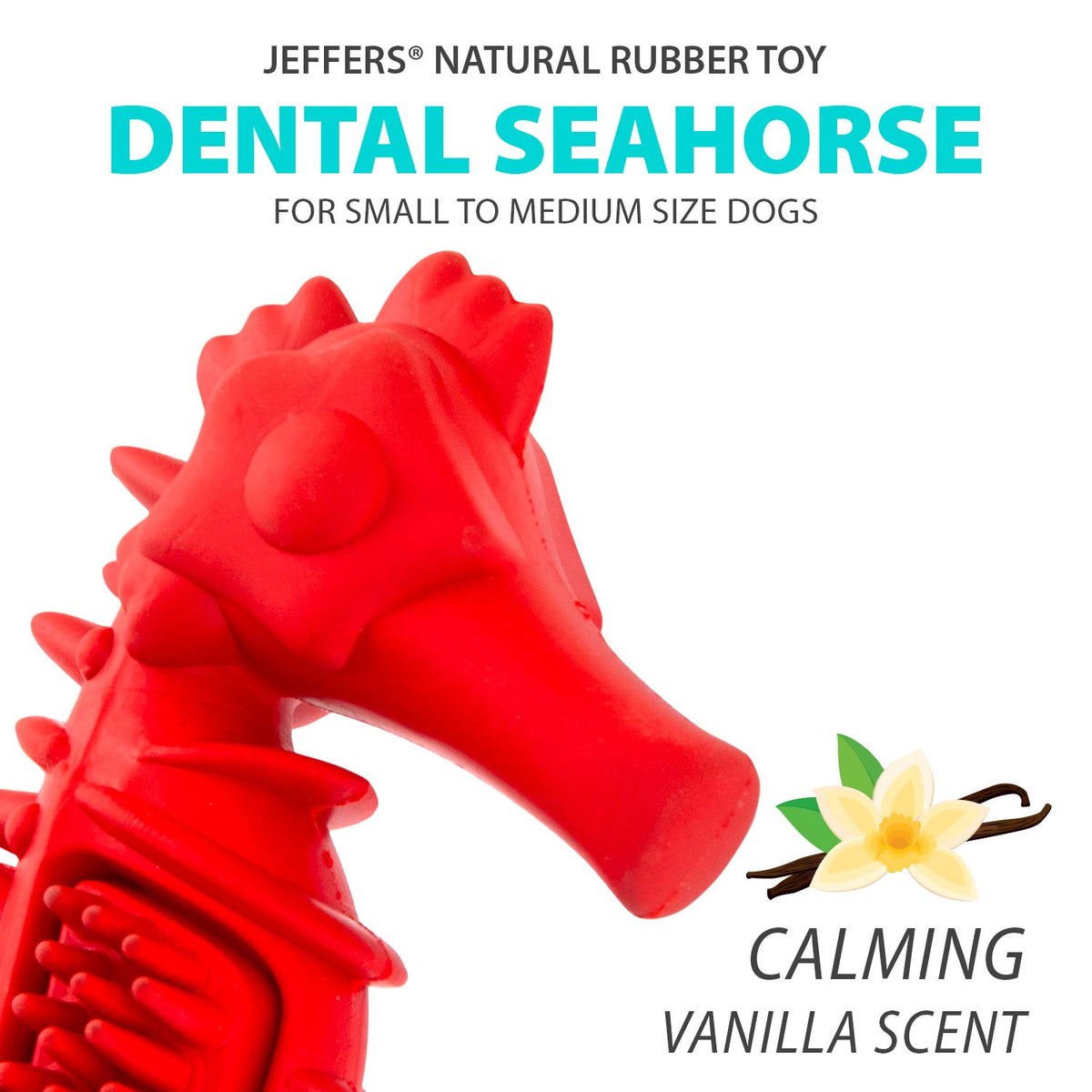 Jeffers Red Seahorse Natural Rubber Dog Chew Toy with Vanilla Scent and Textured Ridges for Dental Health